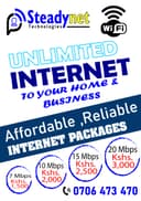 Steadynet Technologies's website